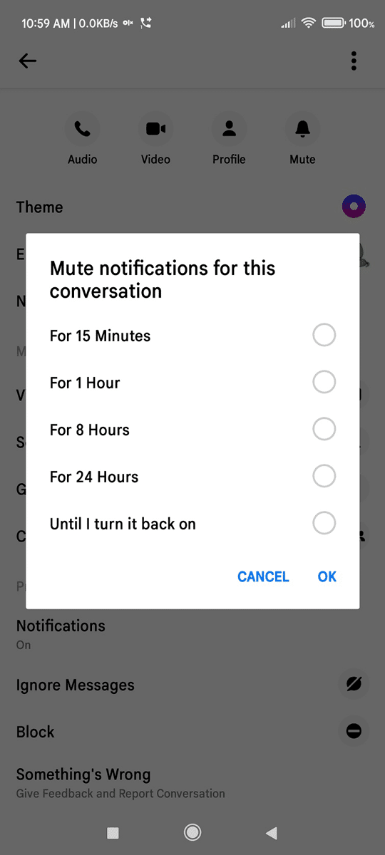 mute conversatio on Facebook chat for a specific time period